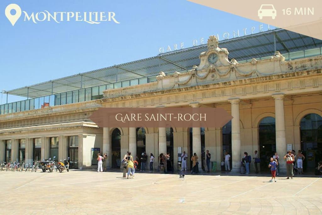 041 - Studio Le Chateau D'O, Appart 4Pers, Parking, Proche Faculte De Medecine Монпелье Экстерьер фото
