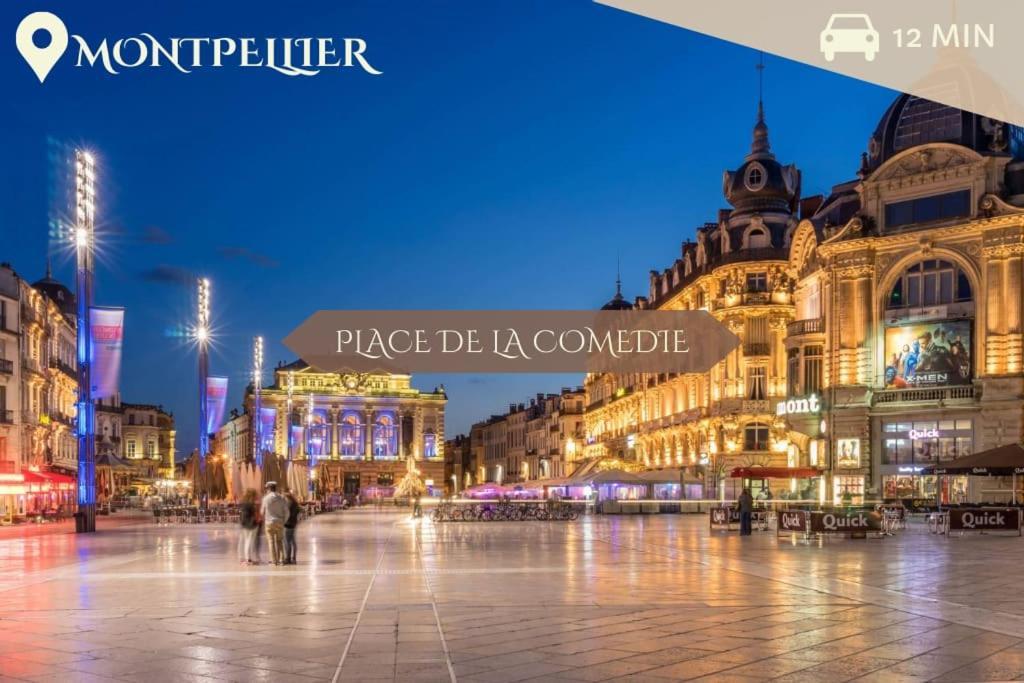 041 - Studio Le Chateau D'O, Appart 4Pers, Parking, Proche Faculte De Medecine Монпелье Экстерьер фото