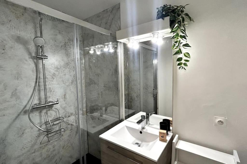 041 - Studio Le Chateau D'O, Appart 4Pers, Parking, Proche Faculte De Medecine Монпелье Экстерьер фото